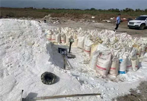 假鹽泛濫，五百余噸地下鹽場被摧毀