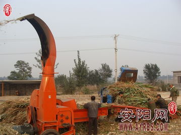 搶抓農時促轉化，市畜牧局多措并舉推廣秸稈青貯飼料助力畜牧漁業(yè)降本增效