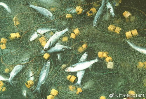 AquaTech 2026 馬來西亞漁業(yè)展覽會 領(lǐng)航漁業(yè)新紀(jì)元，驅(qū)動畜牧漁業(yè)飼料銷售創(chuàng)新